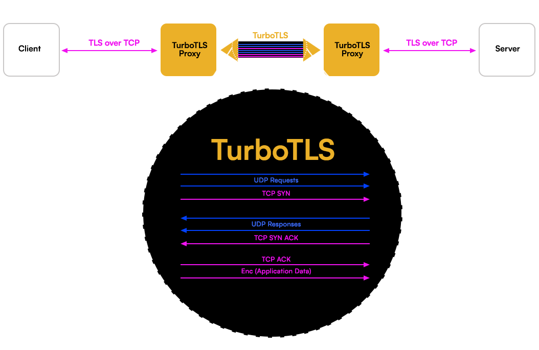 Transparent TurboTLS Proxy.